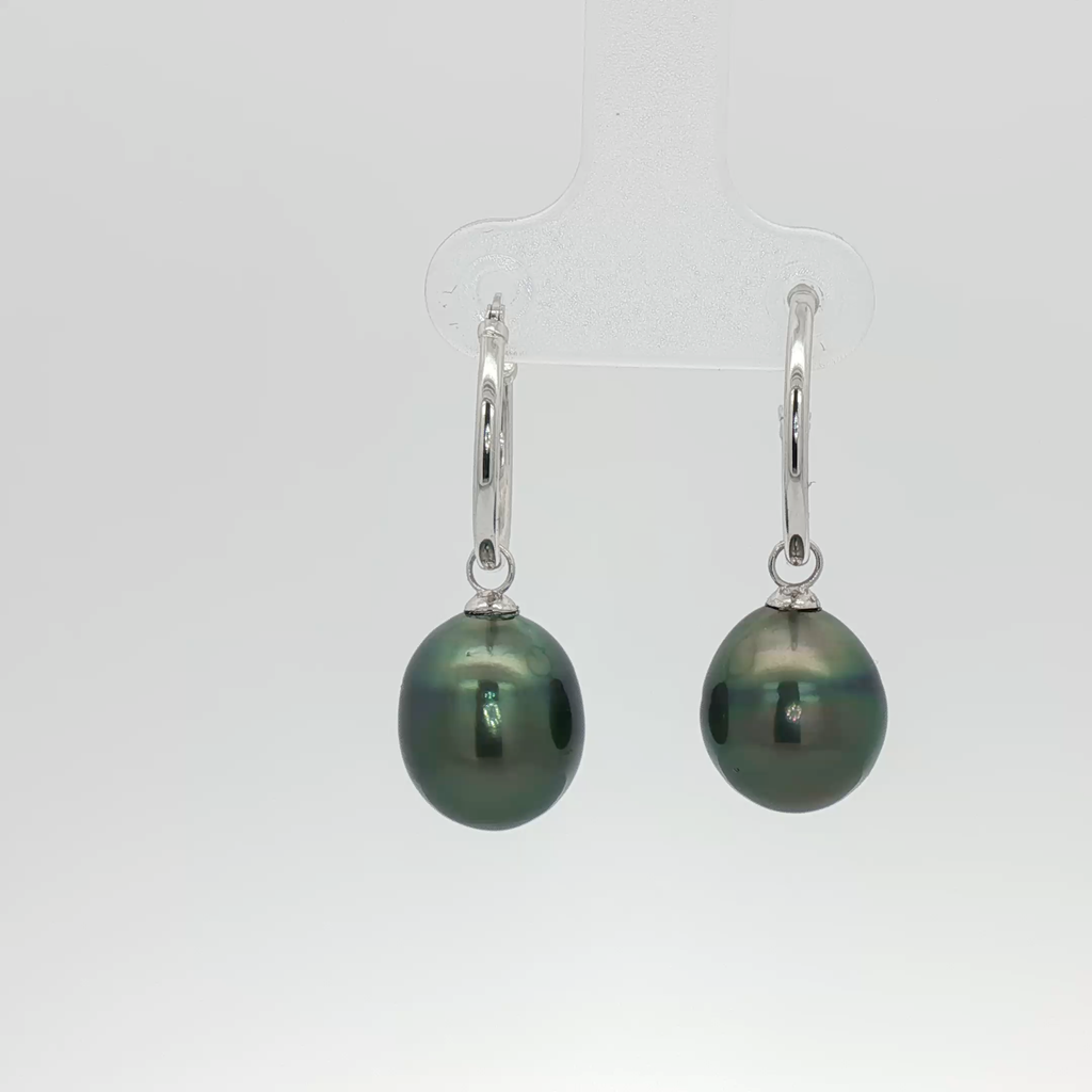 Tahitian Pearl Hoops