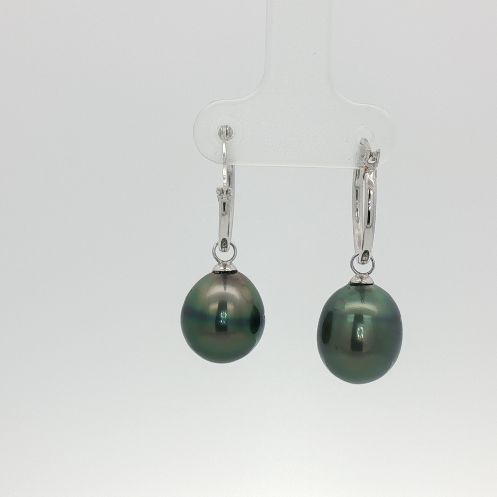 Tahitian Pearl Hoops