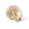 Polylithionite