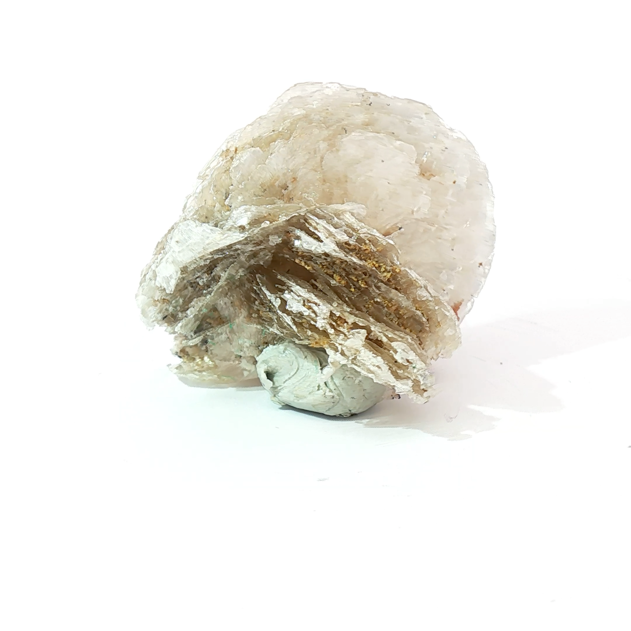 Polylithionite