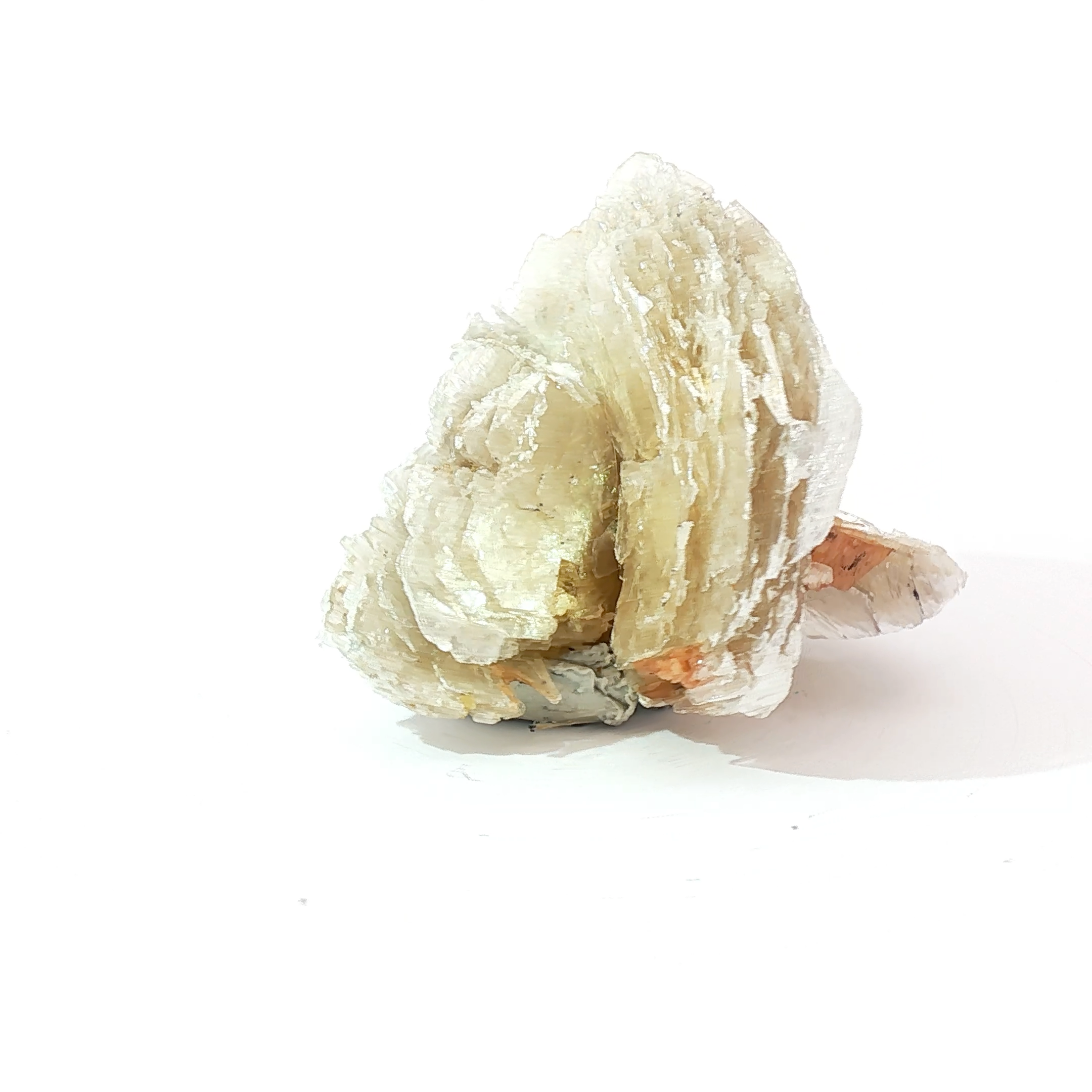 Polylithionite
