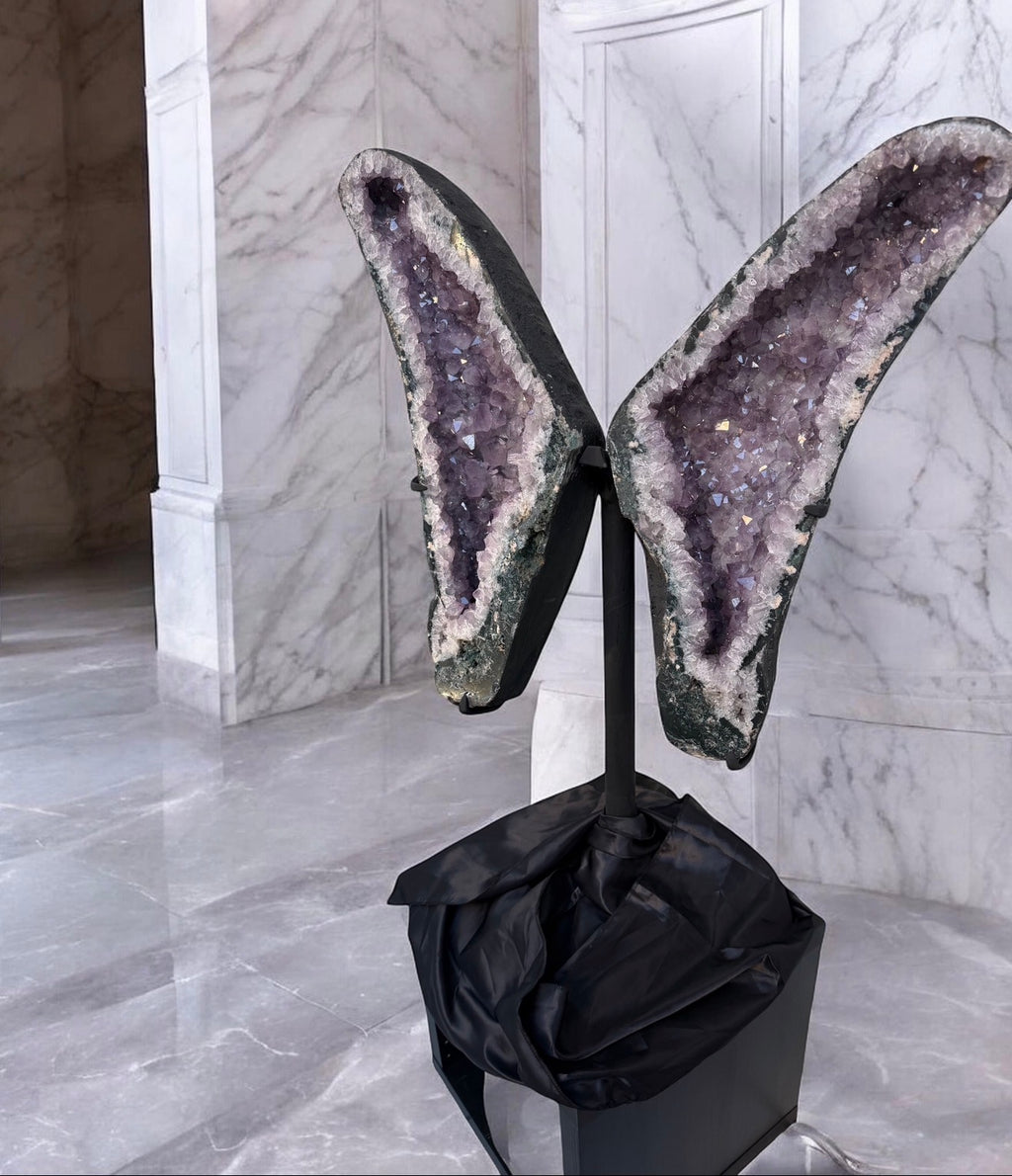 Wings  II