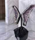 Wings  II