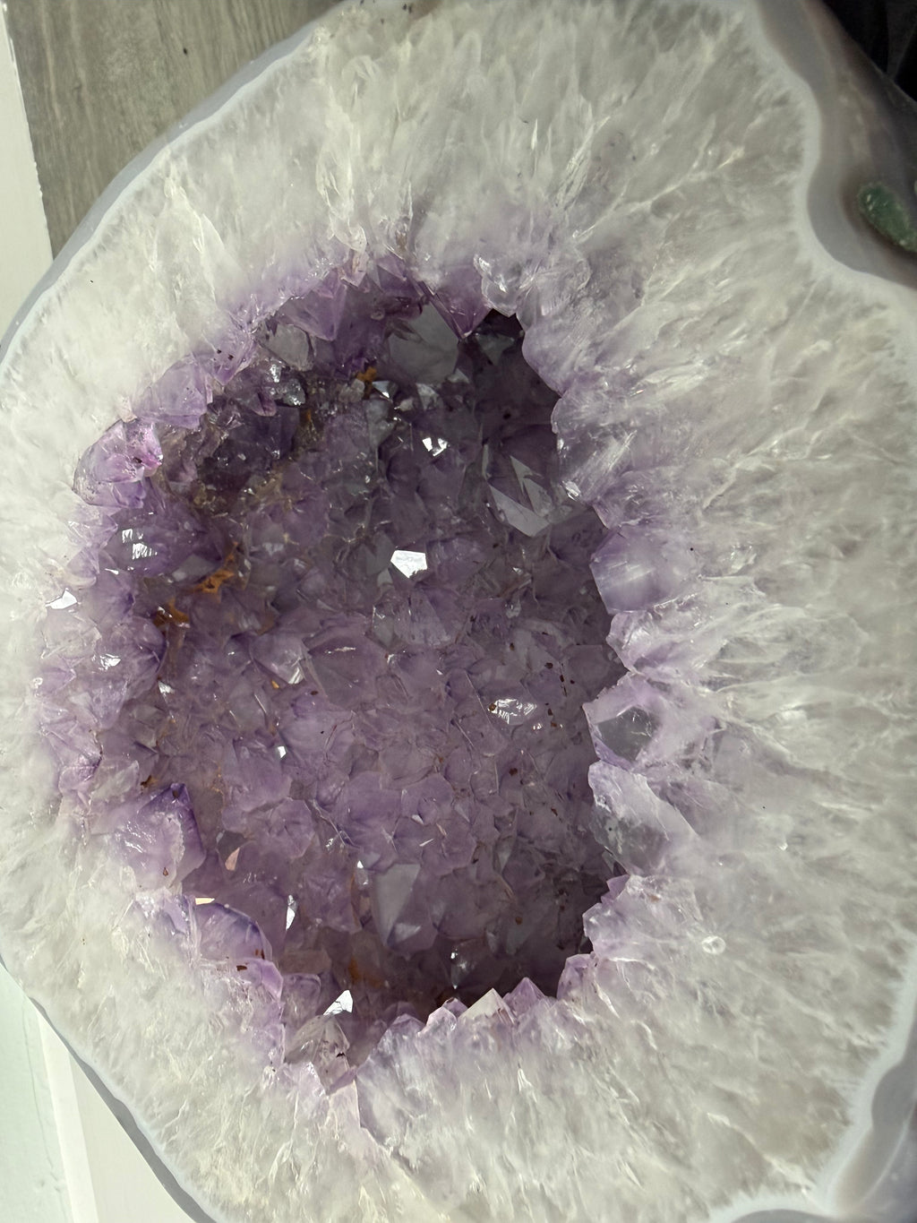 Violet Foundation