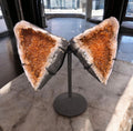 Wing in Citrine