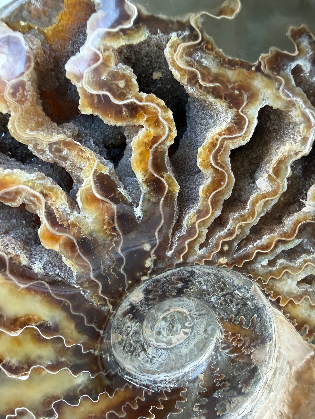Spiral of Time