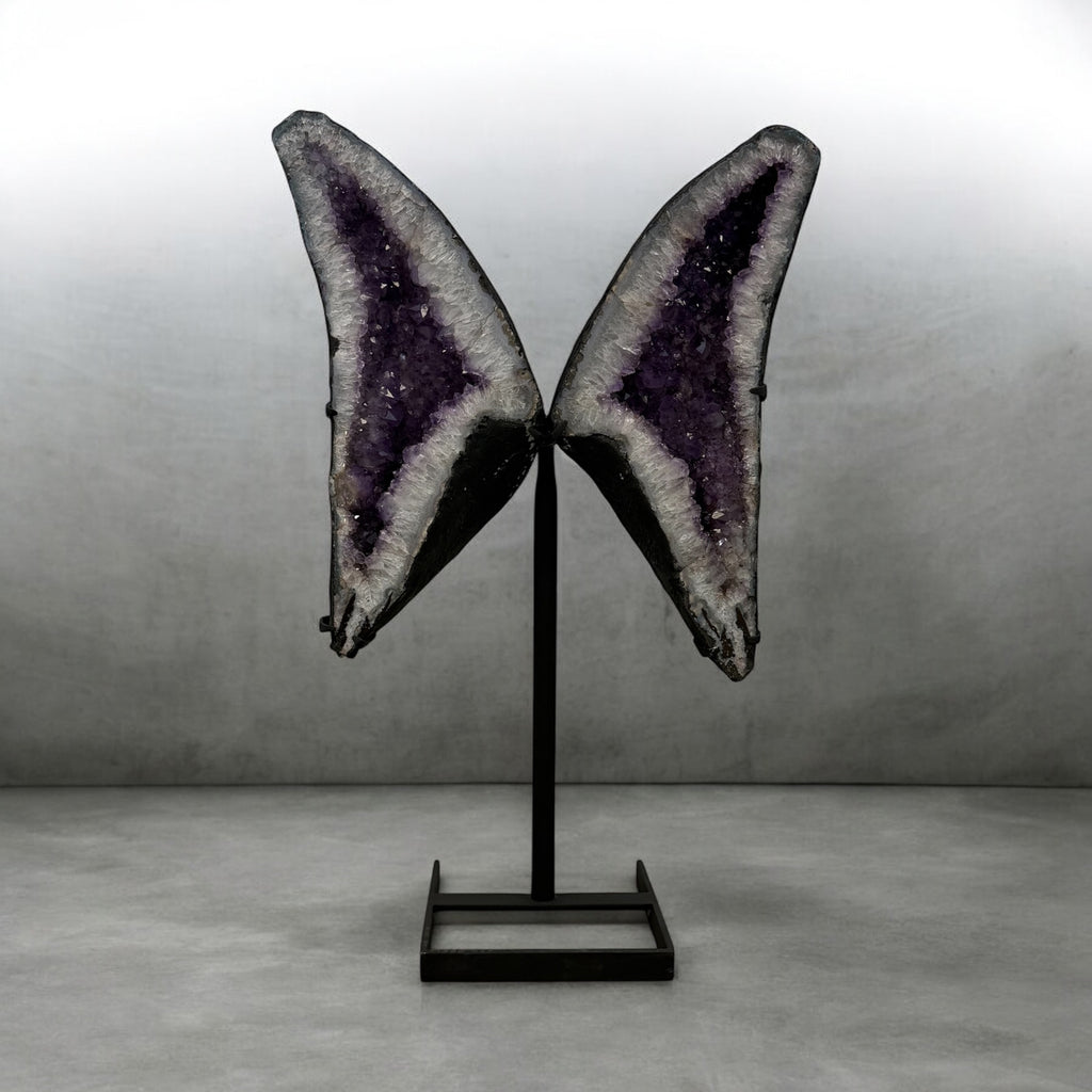 Wings in Violet I
