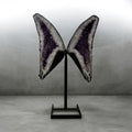 Wings in Violet I