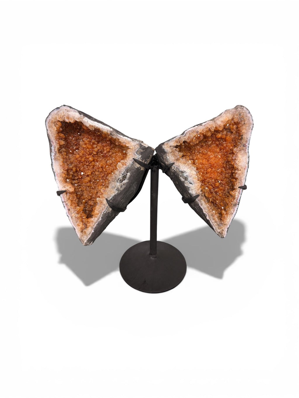 Wing in Citrine