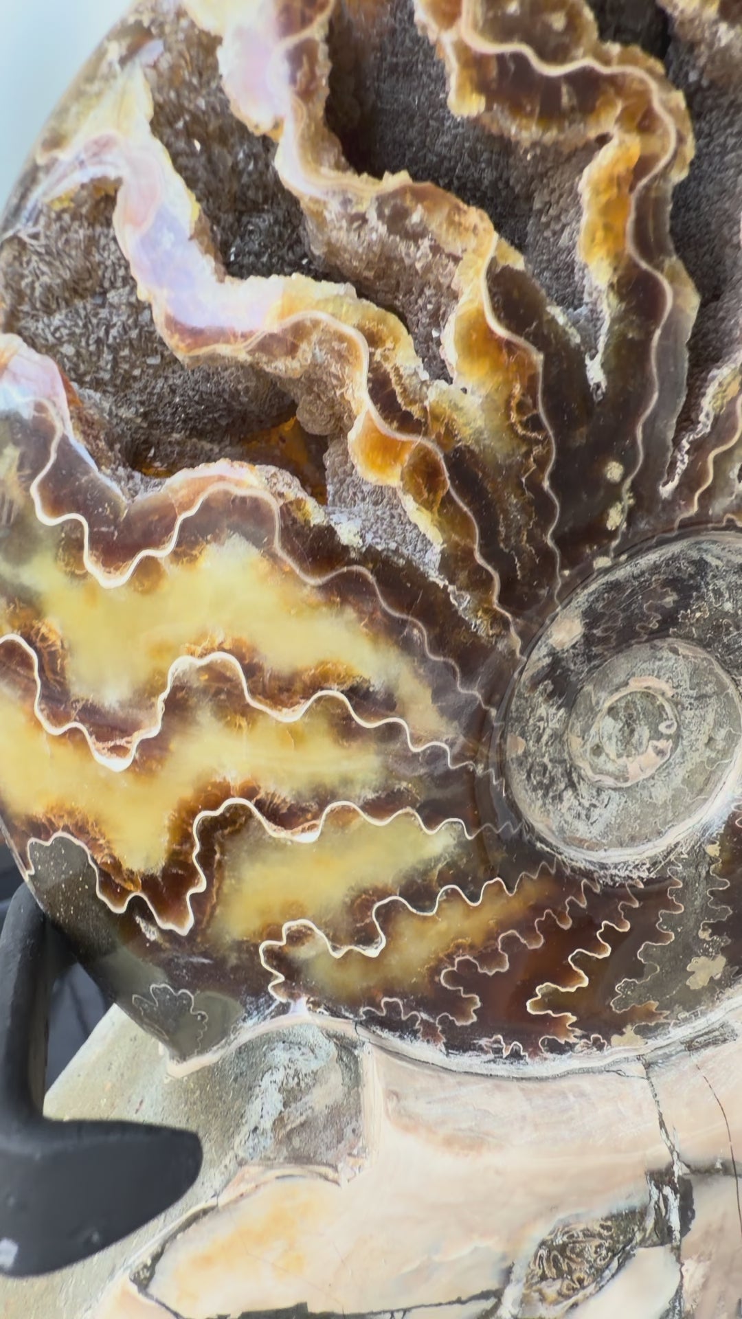 Spiral of Time