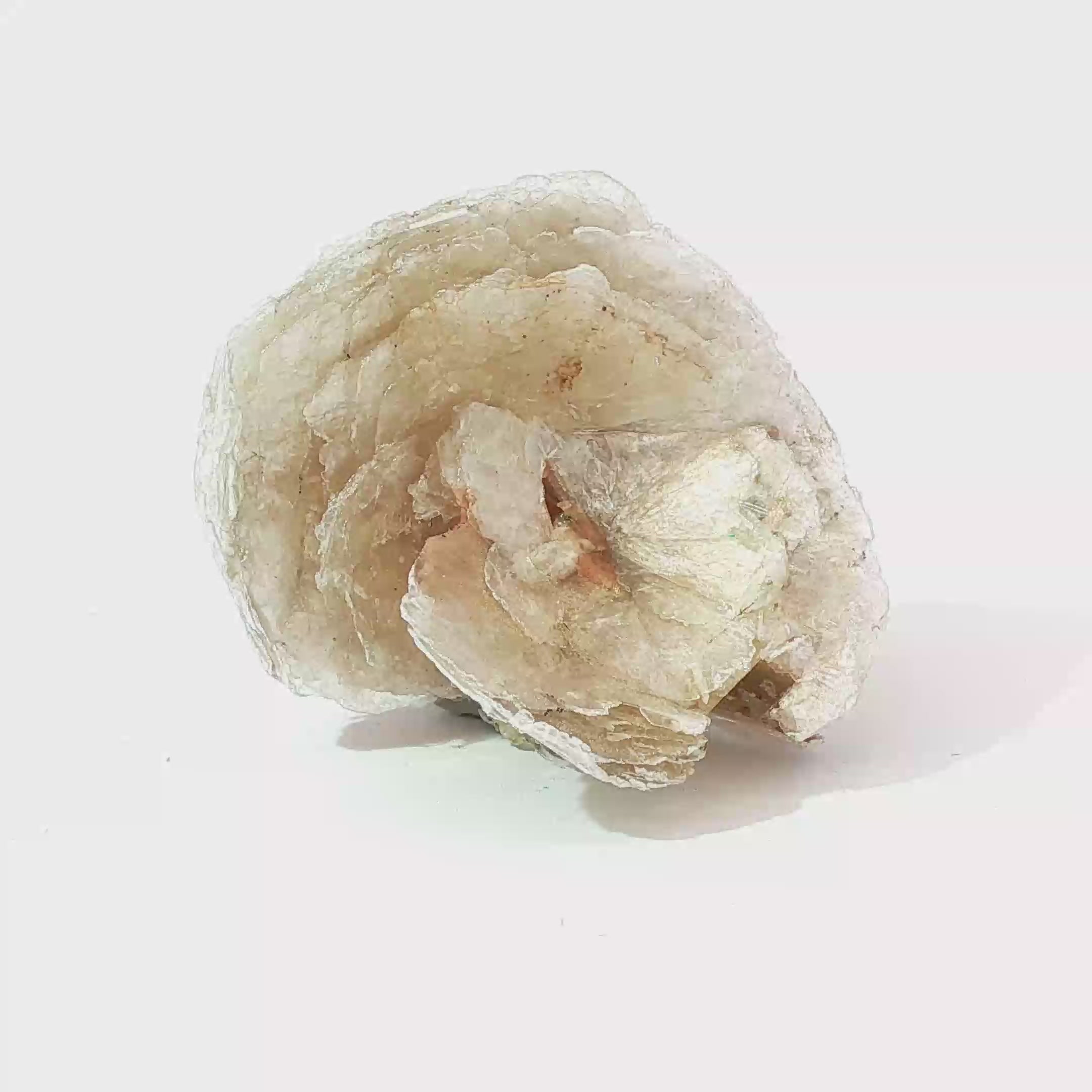 Polylithionite