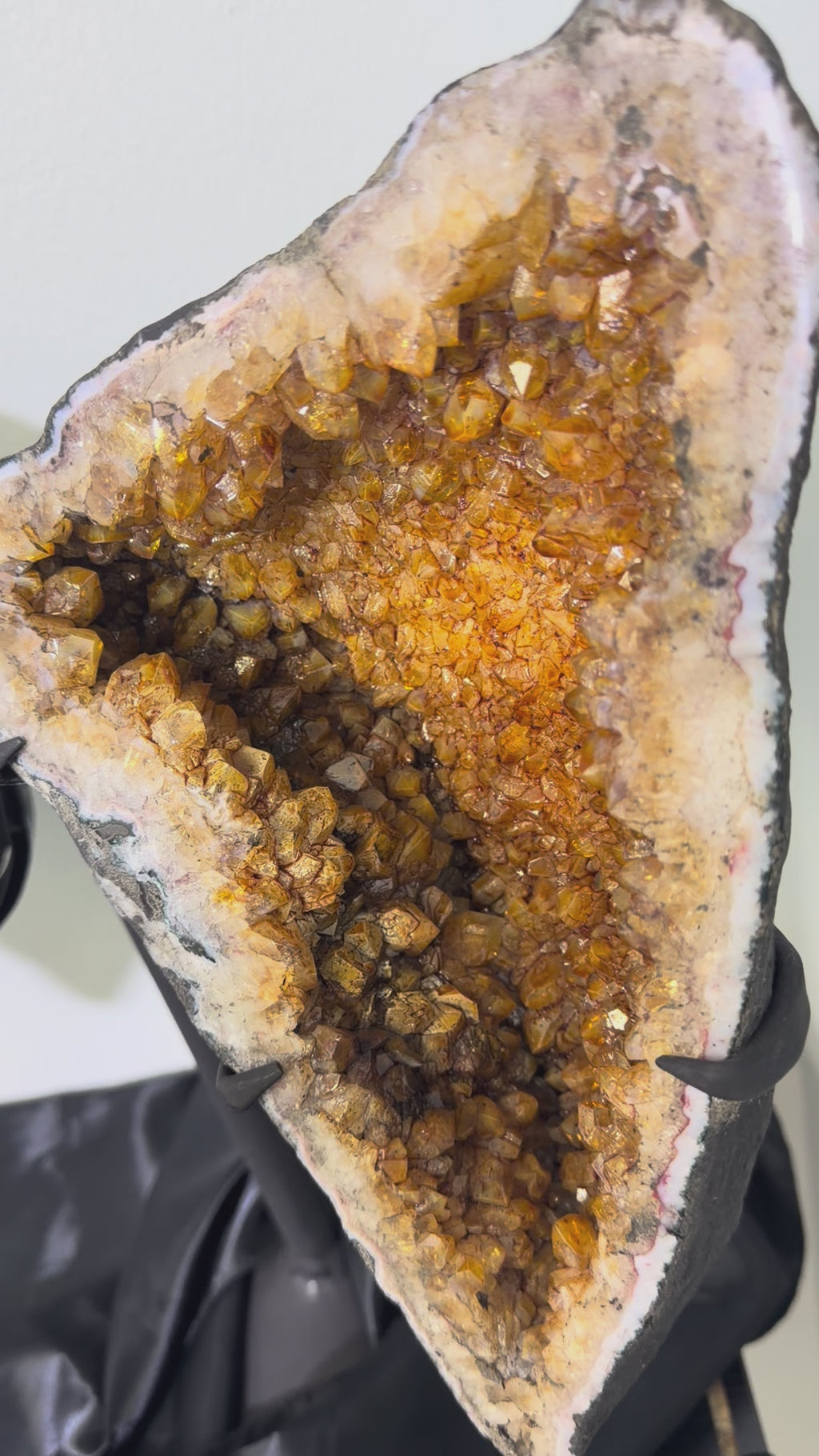Wing in Citrine