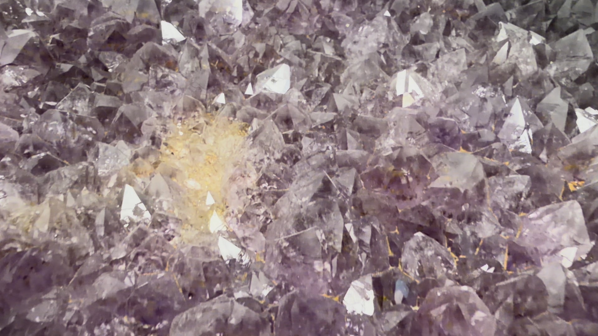 Violet Glass