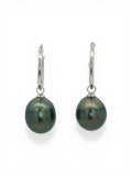 Tahitian Pearl Hoops